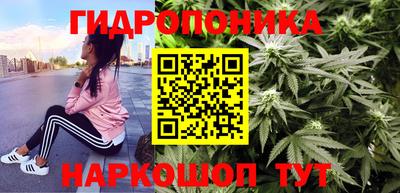стаф Гусев