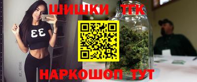 стаф Гусев