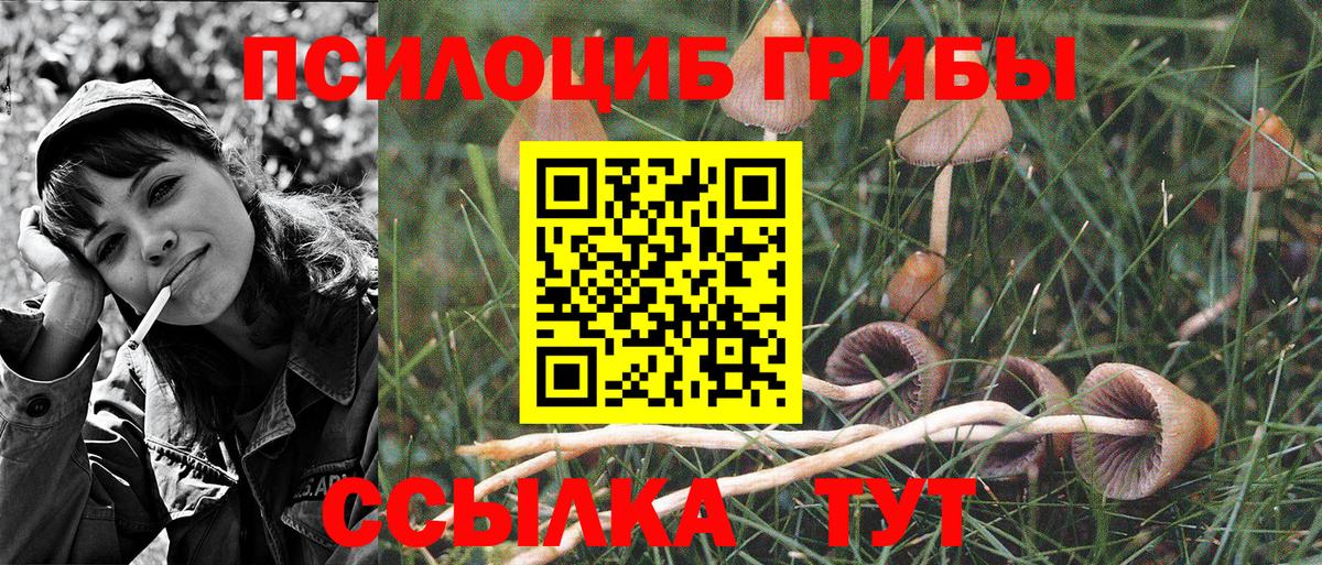 Галлюциногенные грибы ЛСД Мурино
