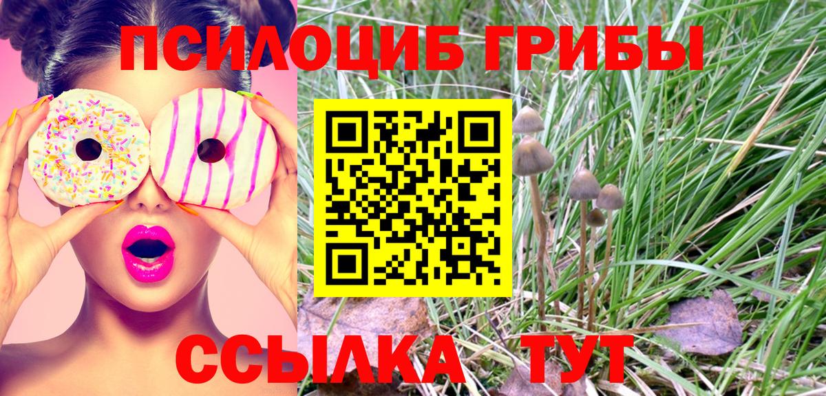 Мурино  Псилоцибиновые грибы прущие грибы  Вход с VPN  закладка  Псилоцибиновые грибы Magic Shrooms 